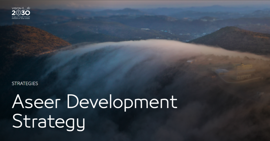 The Role of ESG and Vision 2030